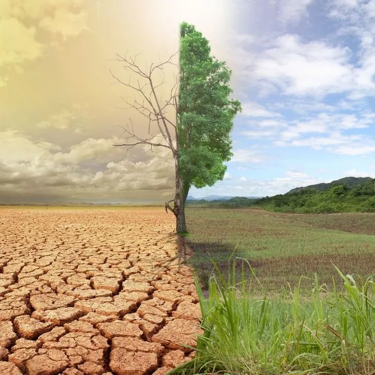 Dramatic visualization of climate change impacts on Canadian landscape
